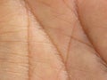 Lines in palm of a man's hand Royalty Free Stock Photo