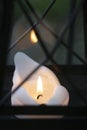 Close up of a Lit Candlelight Lamp in the cemetery.