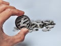 Close up hand holding litecoin Royalty Free Stock Photo