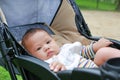 Close-up little Asian baby boy sitting in the stroller at the green garden Royalty Free Stock Photo