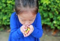 Close-up little Asian child girl holding some colored coated chocolate candy in her hands Royalty Free Stock Photo