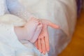 Close up of Little baby feet with mother hand Royalty Free Stock Photo