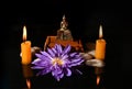 A little Buddha statue, water lily, and burning candles on black background Royalty Free Stock Photo