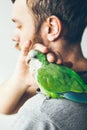 Close-up of little and cute Monk Parakeet. Beard man is gently petting green parrot who is sitting on his shoulder. Natural light Royalty Free Stock Photo