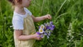 Close up of little girl collecting flowers on the meadow. Royalty Free Stock Photo