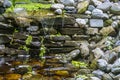 Close up of a  little home made waterfall with green leaves Royalty Free Stock Photo