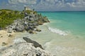 Close-up on Lizard with background of Templo del Dios del Viento Mayan ruins of Ruinas de Tulum (Tulum Ruins) in Quintana Roo