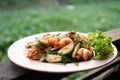 Spicy Green Eggplant Salad with Prawns with green background Royalty Free Stock Photo