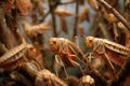 close-up of locusts on tree branches