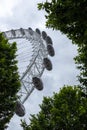 A close up of the London eye in the middle of two gorgeous tall green trees, Uk