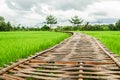 Long bamboo bridge in green rice field homestay