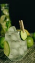 Close up of long drink tonic gin lime and cucumber juice with fresh mint summer refreshing drink with ice cubes cocktail recipe Royalty Free Stock Photo