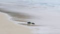 Close Up long exposure of and ocean wave on the sand Royalty Free Stock Photo