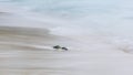 Close Up long exposure of and ocean wave on the sand Royalty Free Stock Photo
