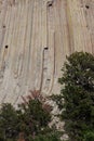 Devils Tower National Monument Royalty Free Stock Photo