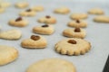 A lot of baked cookies and gingerbread on baking tray, decorated with raisins Royalty Free Stock Photo