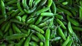 Close up on lot of fresh green chili peppers Royalty Free Stock Photo