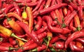 Close up of a lot of red chillies being sold in an indoor market Royalty Free Stock Photo