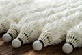 Close up of Lot of shuttlecocks Royalty Free Stock Photo