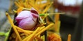 Close up of lotus flower and holly candle in buddhist temple