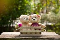 Close up lovely brown two teddy bear in wooden box concept, love