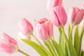 Close-up of Lovely Pink Tulips Royalty Free Stock Photo