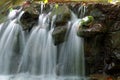 Close-up of a lovely stream and flowers fallen on a mossy rock by the cascading water blurred background effect Royalty Free Stock Photo