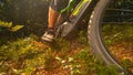 CLOSE UP Leaves and tiny branches fly in air as mountain biker rides his bicycle