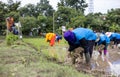 A close-up, low-angle view of a group of farmers wearing blue clothing and face coverings planting seedlings