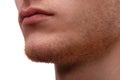 Close-up of the lower part of a man`s face. Isolated over white background Royalty Free Stock Photo