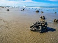 Close up Lugworm casts with idyllic ocean and endless horizon on the beach