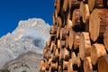 Close up of piles of lumber in front of the Pala Group