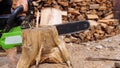 lumberjack or logger hands cutting wood for logs using his chainsaw. Woodcutter working and sawdust fly to sides.