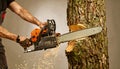 Lumberjack Cutting Tree with Chainsaw, Wood Chips Flying, Close-Up Action Shot Royalty Free Stock Photo