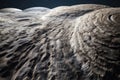 close-up of lunar rock textures and patterns