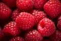 A close-up of luscious, ripe raspberries