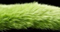 Close-up of lush green grass blowing in the wind Royalty Free Stock Photo