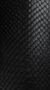 Close-up of luxurious black snakeskin texture with distinct scale pattern Royalty Free Stock Photo