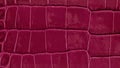Close-up of luxurious lava red crocodile leather texture with bold rectangular embossing and glossy finish. Natural background for Royalty Free Stock Photo