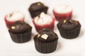 Food : Close up of luxury, small cupcakes. 13