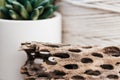 Close up Macrame Spool with plant and cholla cactus Royalty Free Stock Photo