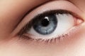 Close-up macro of beautiful female eye. Clean skin, fashion naturel make-up Royalty Free Stock Photo