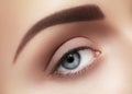 Close-up macro of beautiful female eye. Clean skin, fashion naturel make-up Royalty Free Stock Photo