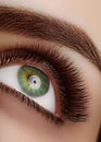 Close-up macro beautiful female eye with extreme long eyelashes. Lash design, natural health lashes. Clean vision Royalty Free Stock Photo