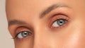 Close-up macro of a beautiful female eye with a perfect eyebrow shape. Clean skin, trendy natural makeup. Good vision Royalty Free Stock Photo