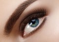 Close-up macro beautiful female eye with perfect shape eyebrows. Clean skin, fashion natural smoky make-up. Good vision