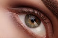 Close-up macro beautiful female eye with perfect shape eyebrows. Clean skin, fashion natural smoky make-up. Good vision Royalty Free Stock Photo