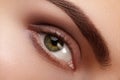 Close-up macro beautiful female eye with perfect shape eyebrows. Clean skin, fashion natural smoky make-up. Good vision