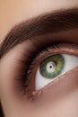 Close-up macro beautiful female eye with perfect shape eyebrows. Clean skin, fashion natural smoky make-up. Good vision Royalty Free Stock Photo