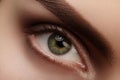 Close-up macro beautiful female eye with perfect shape eyebrows. Clean skin, fashion natural smoky make-up. Good vision Royalty Free Stock Photo